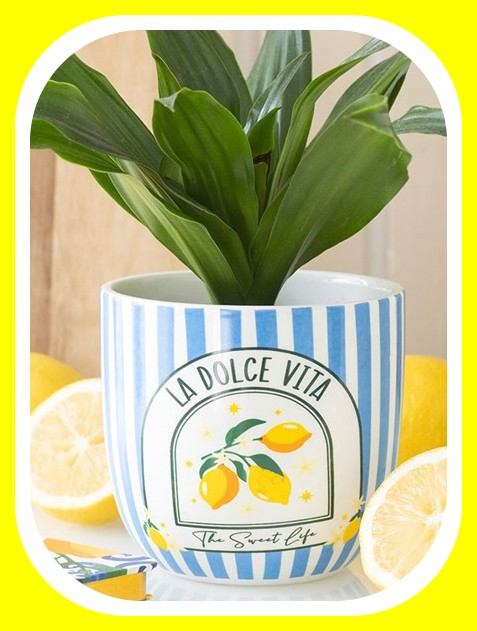 Blue Striped La Dolce Vita Plant Pot  Ideal gift