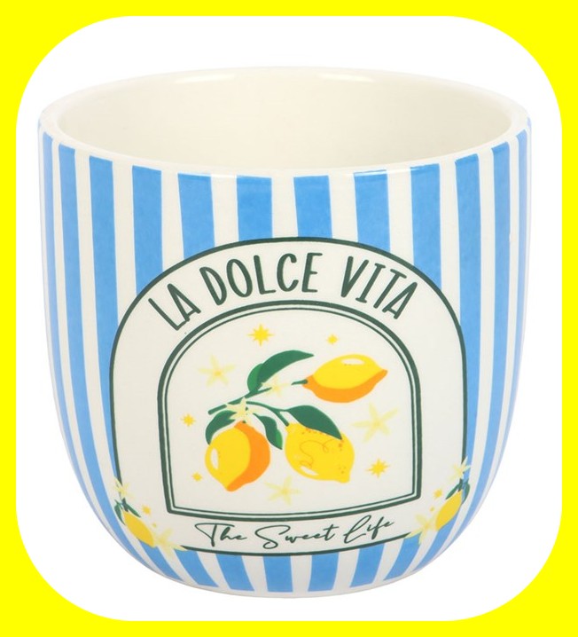 Blue Striped La Dolce Vita Plant Pot  Ideal gift