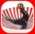Circus Seal Trinket Dish ceramic , Boxed, Brand new. Ideal gift