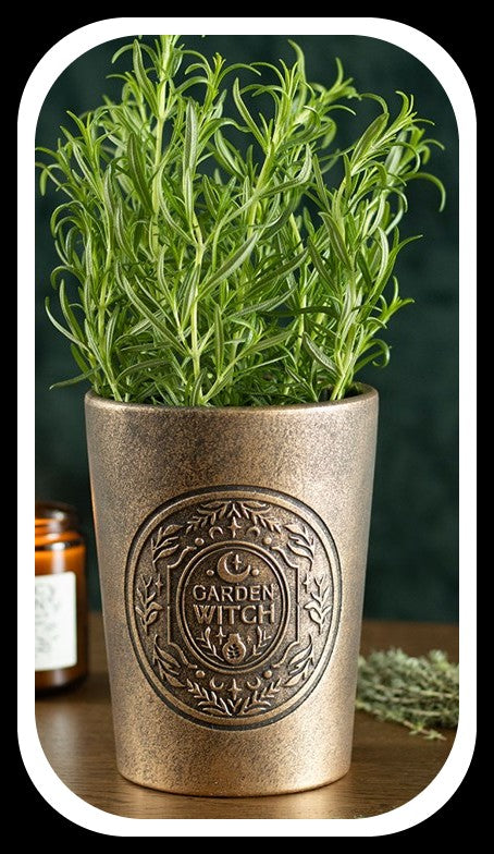 Garden Witch Bronze Effect Terracotta Plant Pot Boxed. Brand new. Ideal gift