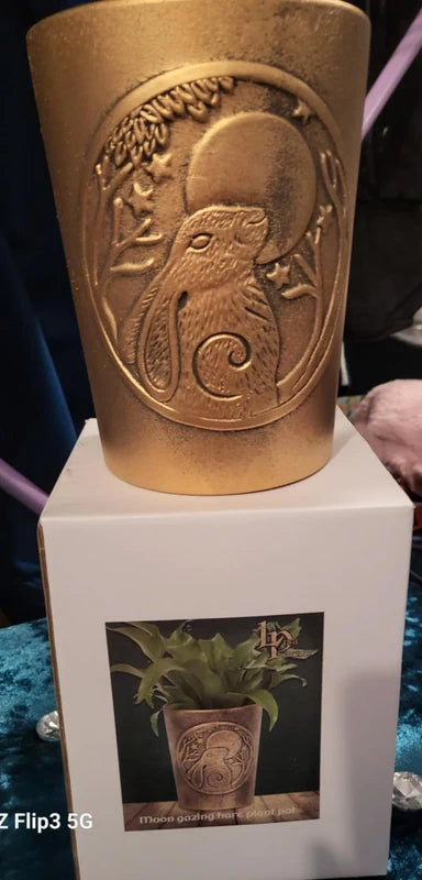 Moon Gazing Hare Bronze Terracotta Plant Pot by Lisa Parker