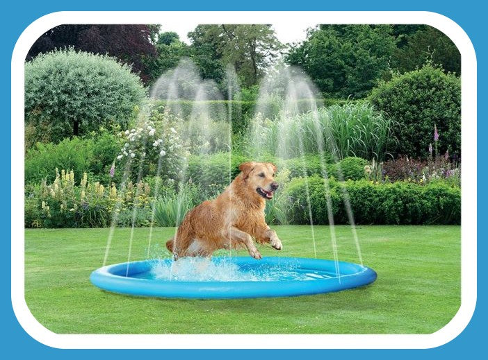 Pet Sprinkler Splash Pool Boxed. Brand New