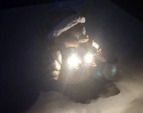 Light Up Robin now half price