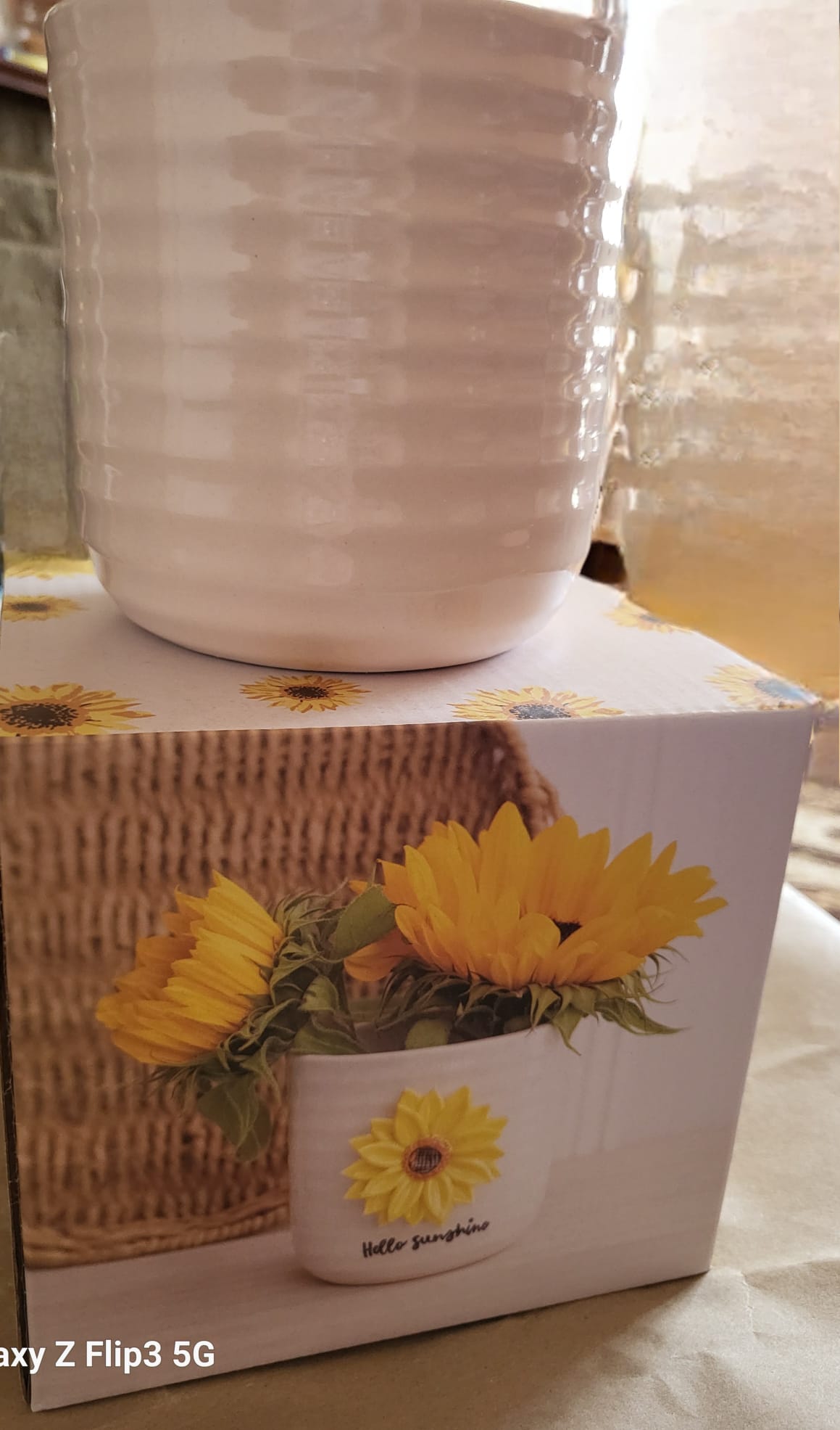 Hello Sunshine Plant Pot with 3D Sunflower boxed ideal gift